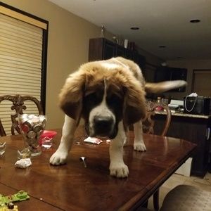 Meet your Posher, Cheryl